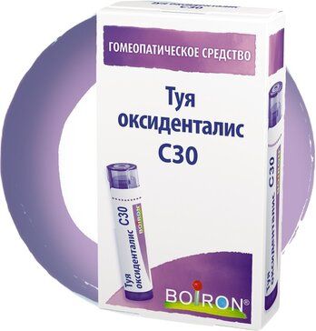 фото упаковки Туя оксиденталис C30